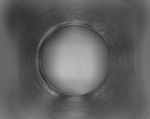X0000073440102200608181223