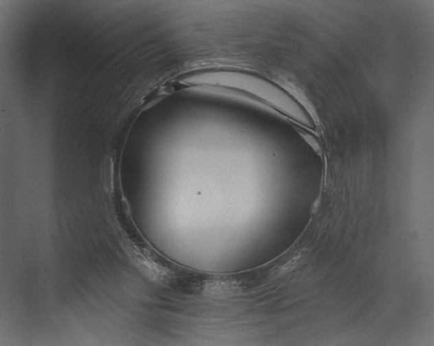 X0000073440109200608181223