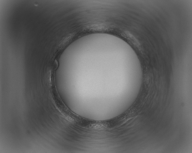 X0000073440115200608181223