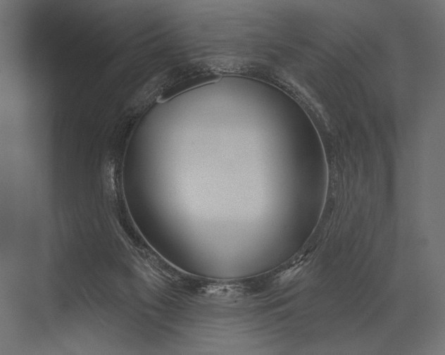 X0000073440117200608181223