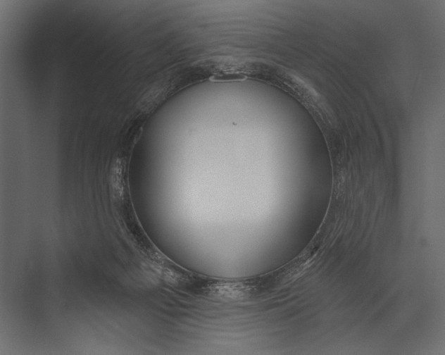 X0000073440121200608181223