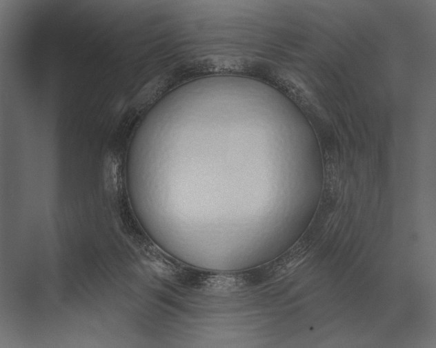 X0000073440123200608181223