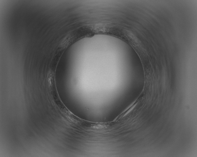 X0000073440125200608181223