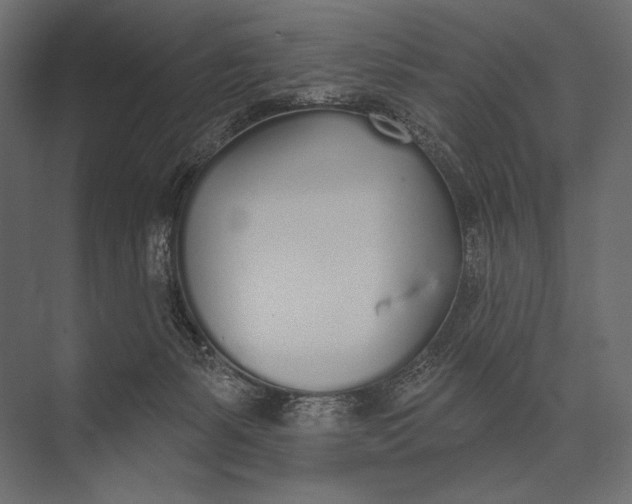 X0000073440127200608181223