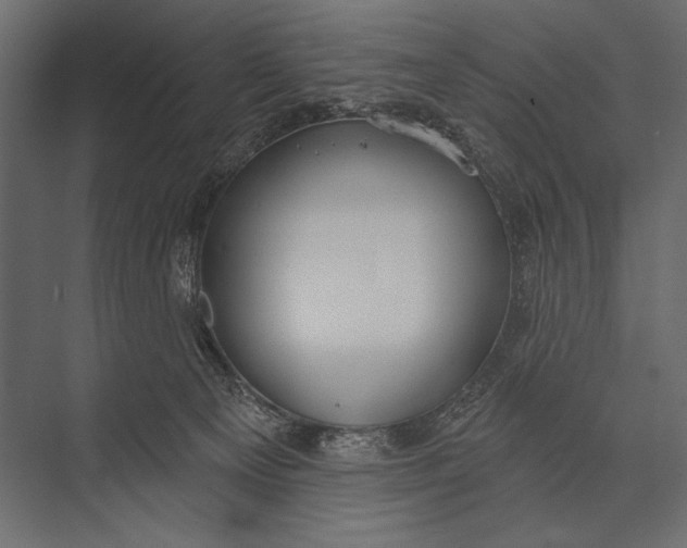 X0000073440129200608181223