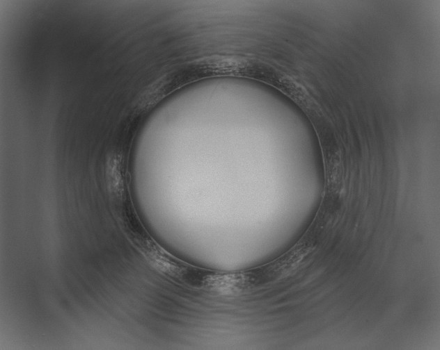 X0000073440131200608181223
