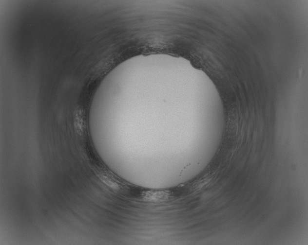 X0000073440135200608181222