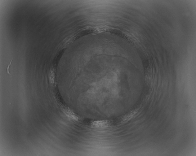 X0000073440139200608181222