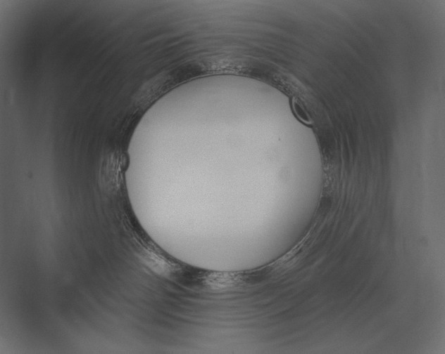 X0000073440142200608181222