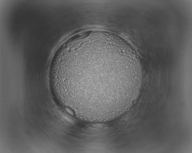 X0000073440151200608181222