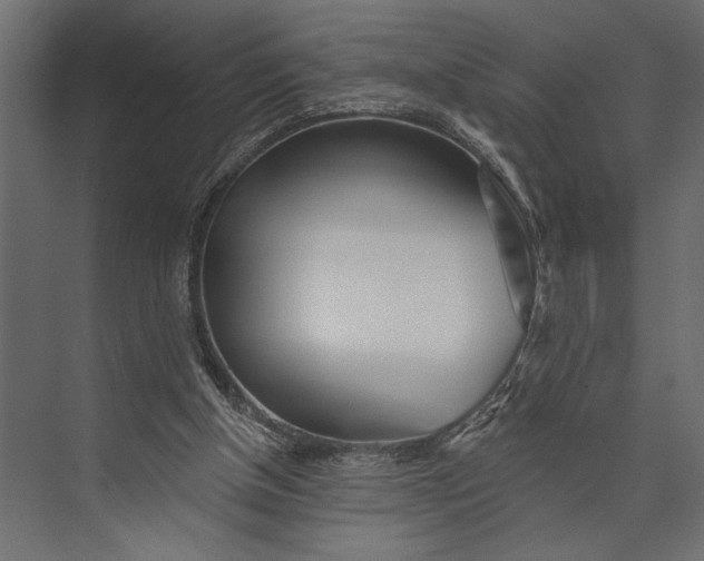 X0000073440154200608181222
