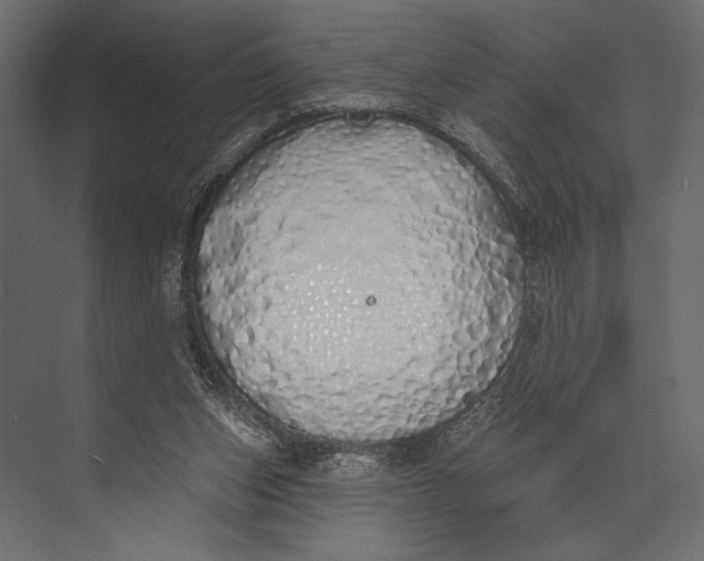 X0000073440159200608181222