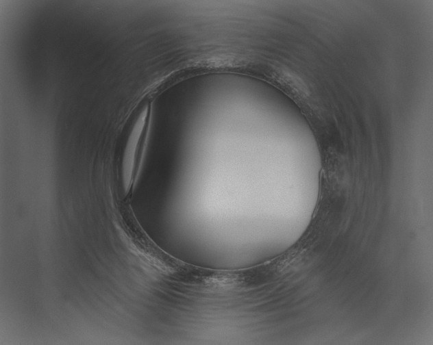 X0000073440164200608181222