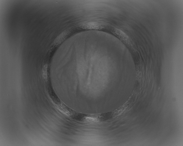 X0000073440167200608181222