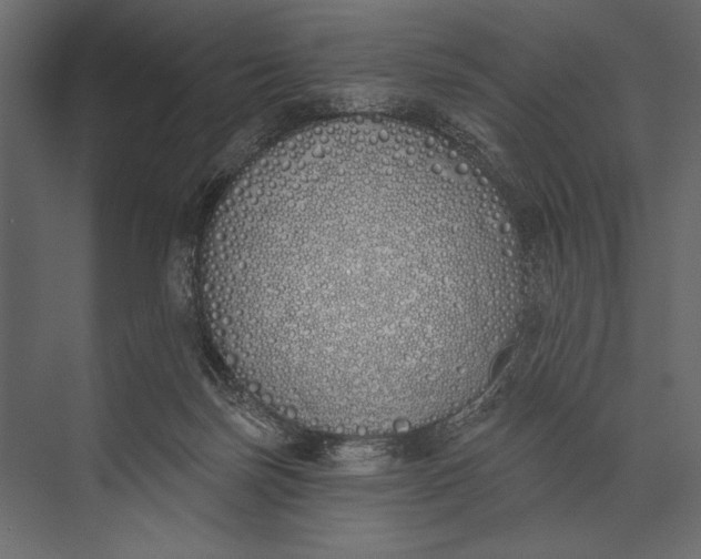 X0000073440171200608181222