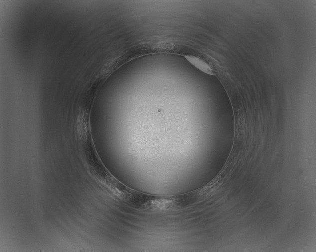 X0000073440172200608181222
