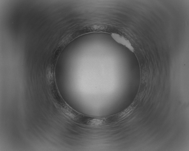 X0000073440176200608181222