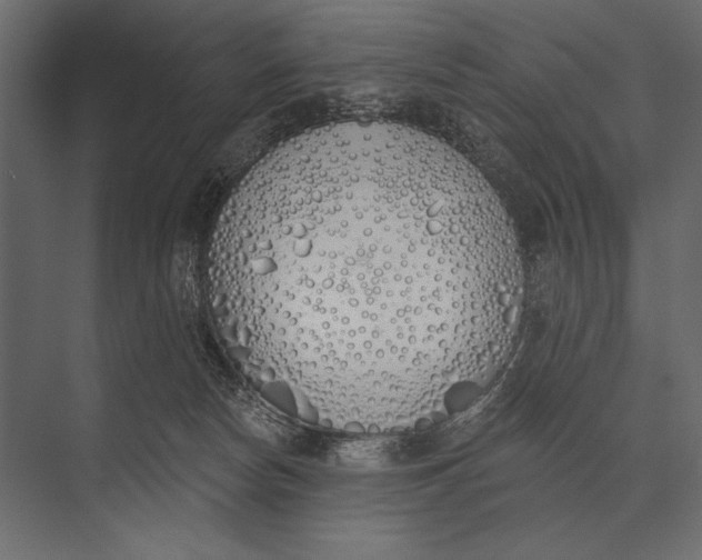 X0000073440178200608181222