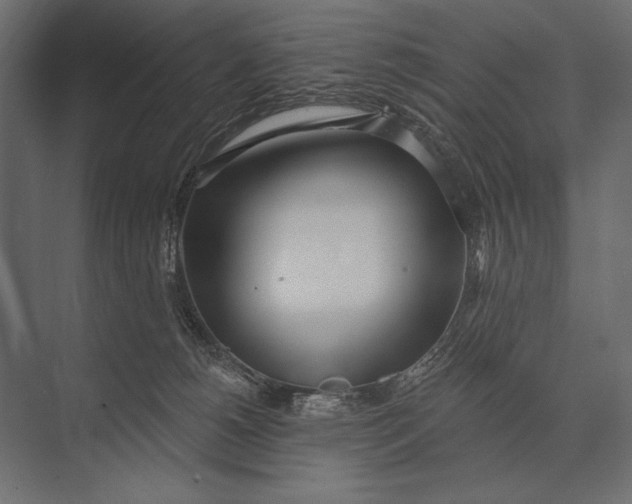 X0000073440180200608181222