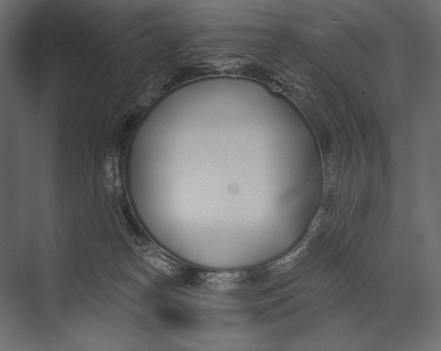 X0000073440182200608181222
