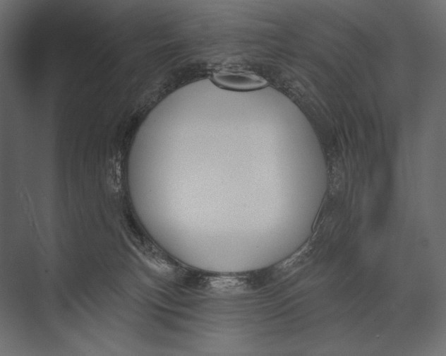 X0000073440183200608181222