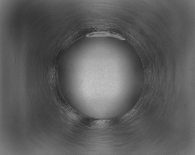 X0000073440184200608181222