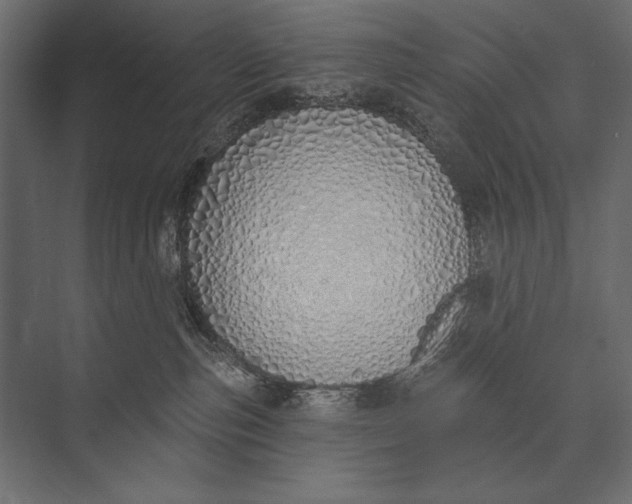 X0000073440187200608181222