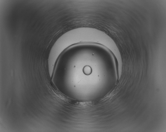 X0000073440188200608181222