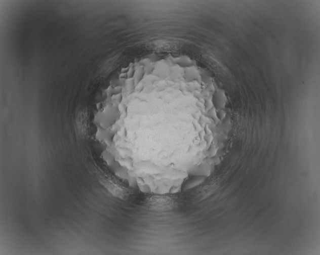 X0000073440189200608181222