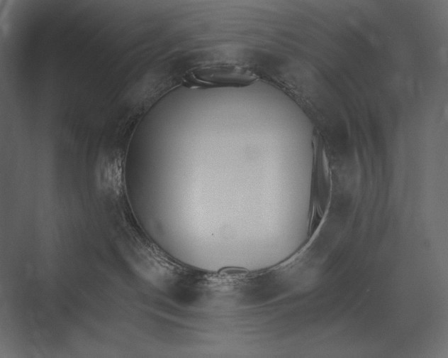 X0000073440190200608181222