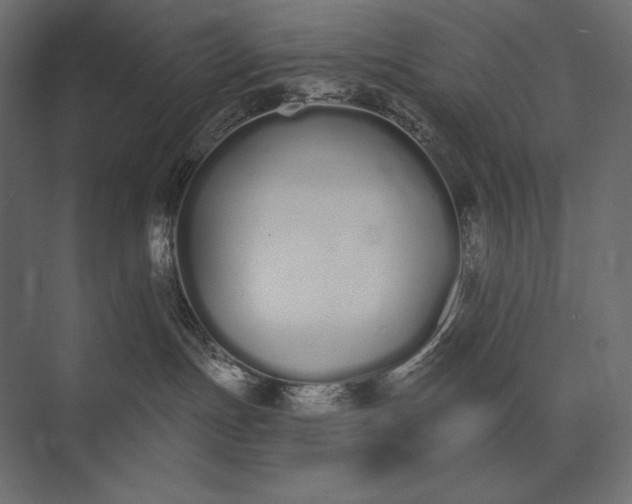 X0000073440191200608181222