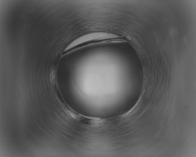 X0000073440192200608181222