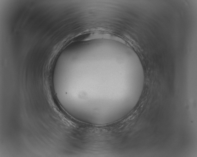 X0000073440193200608181221