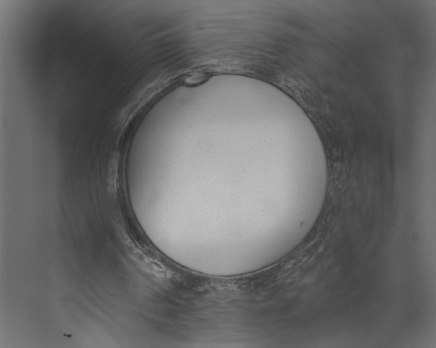 X0000073440194200608181221
