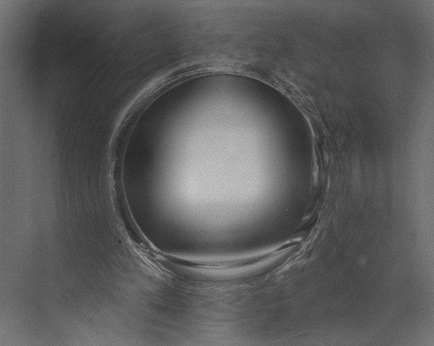 X0000073440197200608181221
