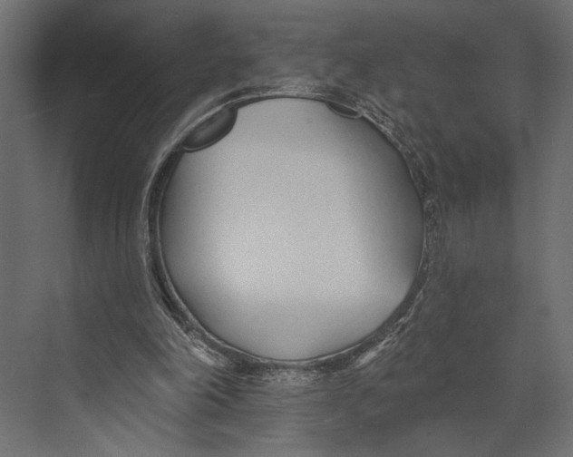 X0000073440198200608181221