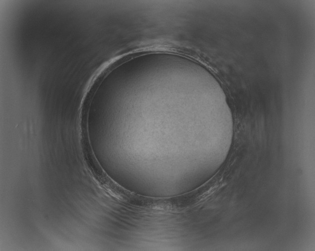 X0000073440200200608181221