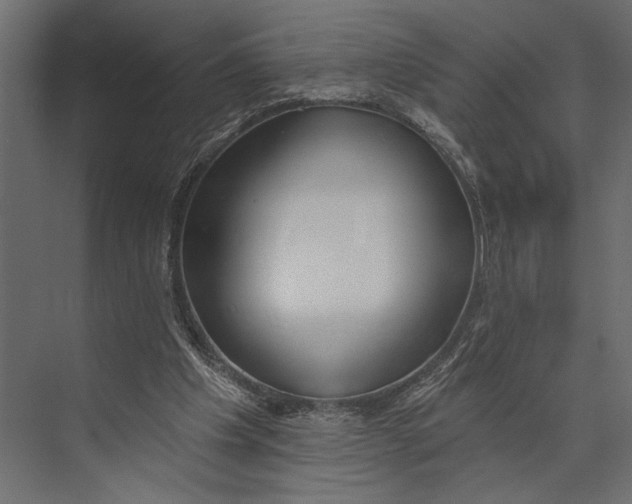 X0000073440201200608181221