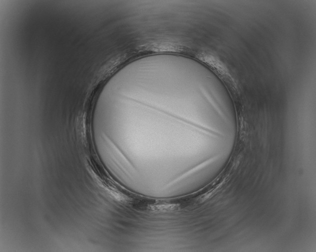 X0000073440202200608181221