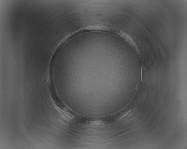 X0000073440204200608181221