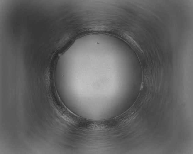 X0000073440207200608181221