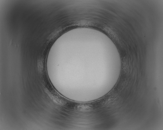 X0000073440208200608181221