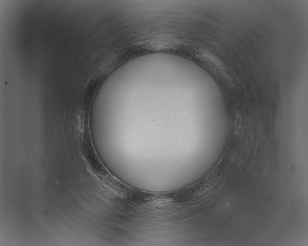 X0000073440210200608181221