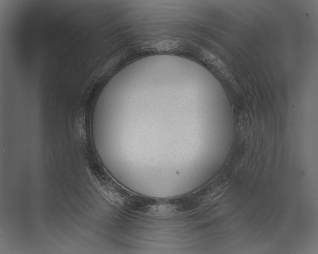 X0000073440212200608181221