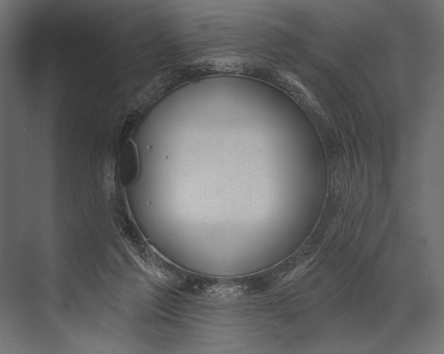 X0000073440213200608181221