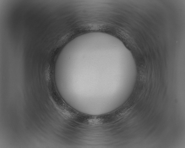 X0000073440216200608181221
