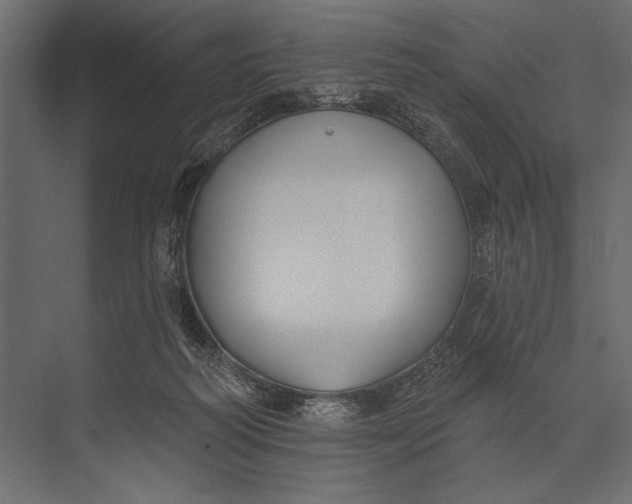 X0000073440218200608181221