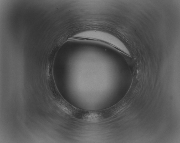 X0000073440219200608181221
