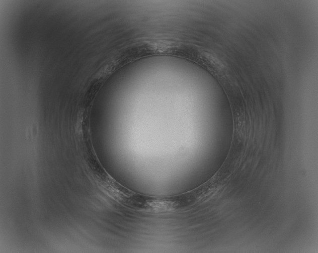 X0000073440221200608181221