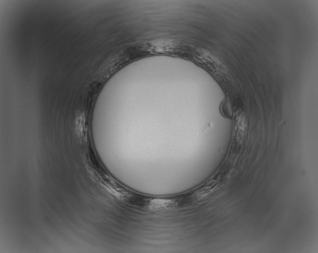 X0000073440222200608181221